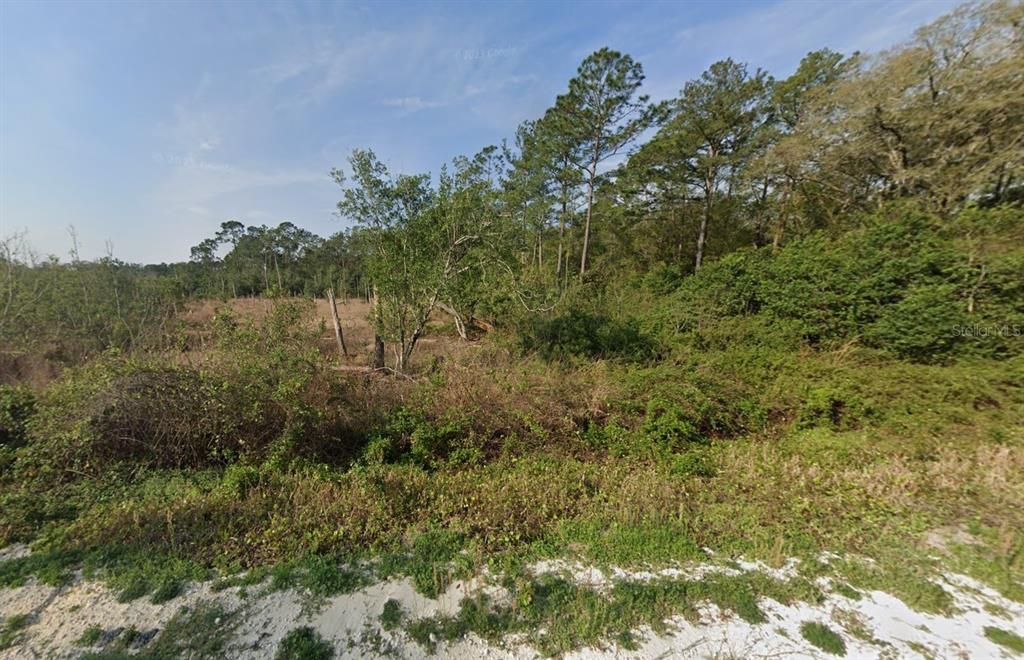 待售: $12,800 (0.55 acres)