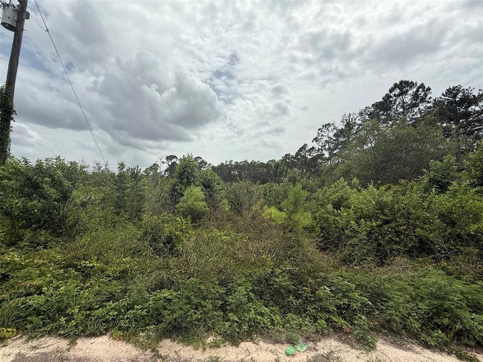 待售: $12,800 (0.55 acres)