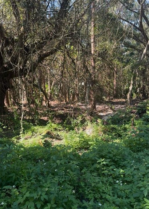 For Sale: $40,000 (1.02 acres)