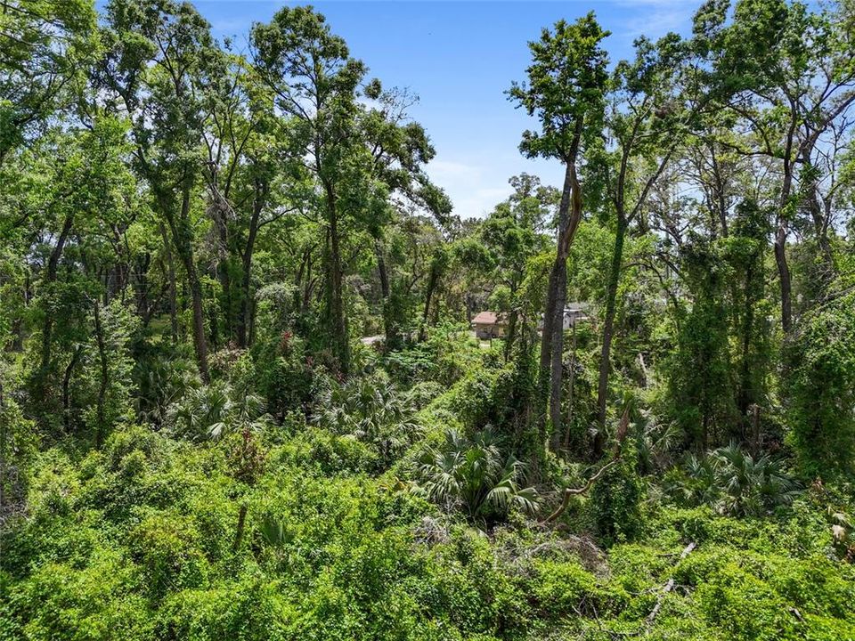 На продажу: $51,000 (2.13 acres)