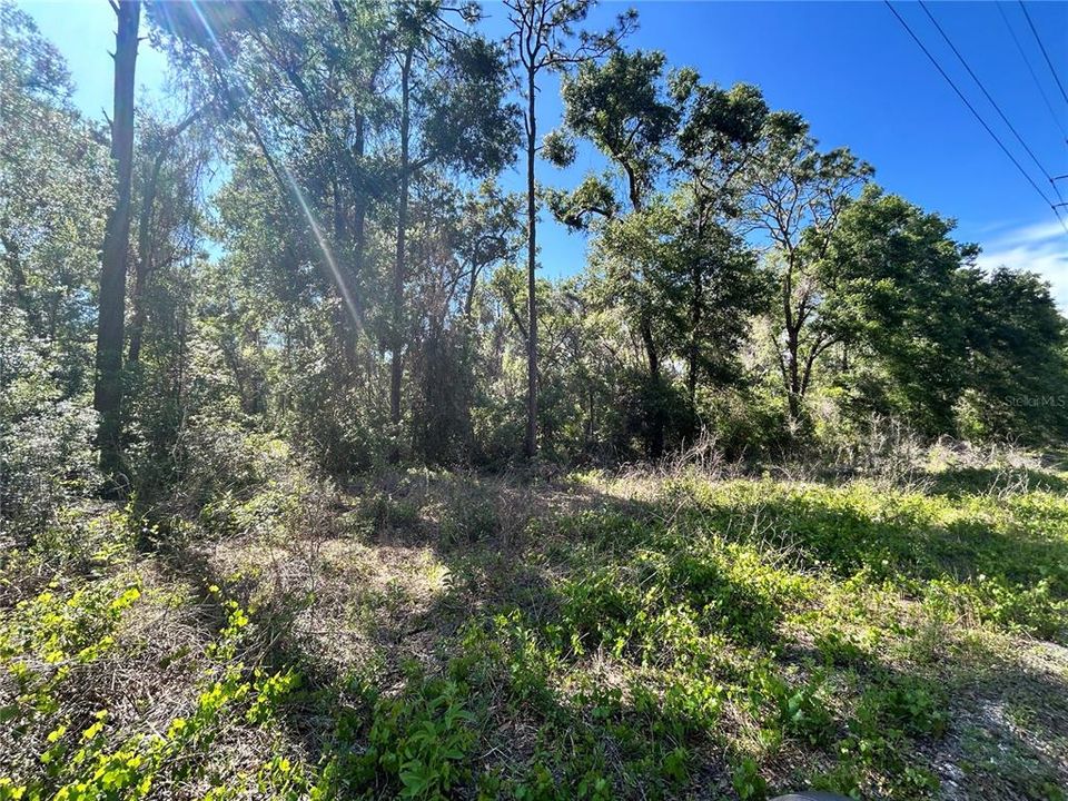 待售: $675,000 (12.35 acres)