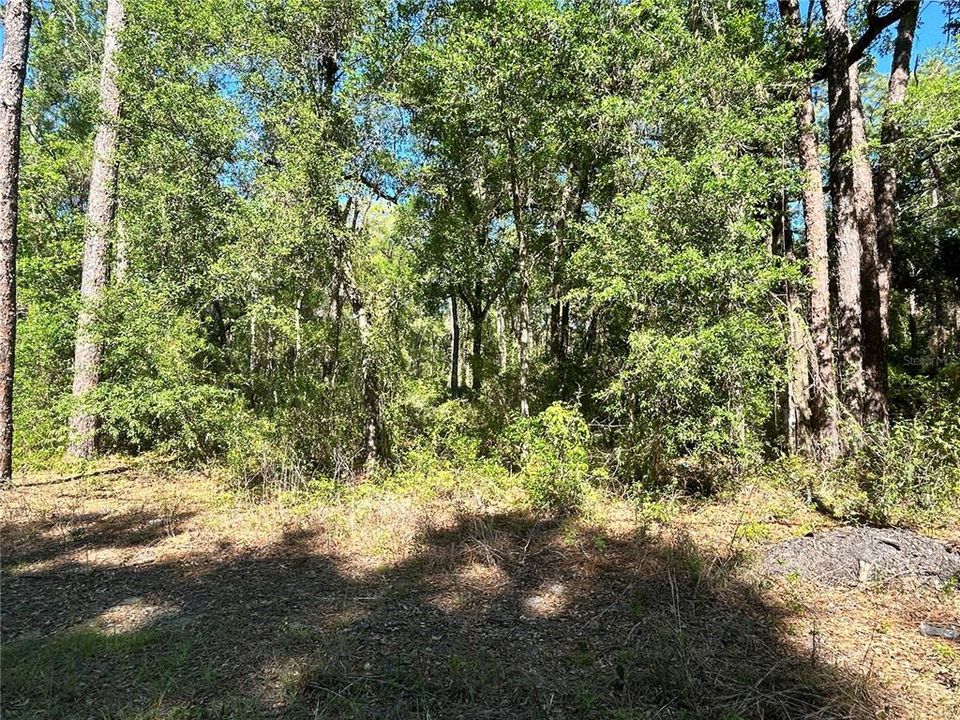 待售: $675,000 (12.35 acres)