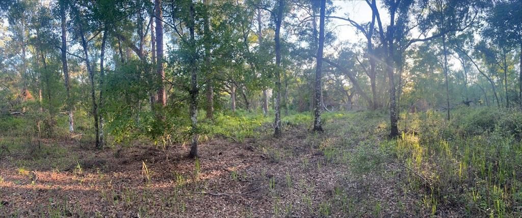 Active With Contract: $35,000 (1.16 acres)