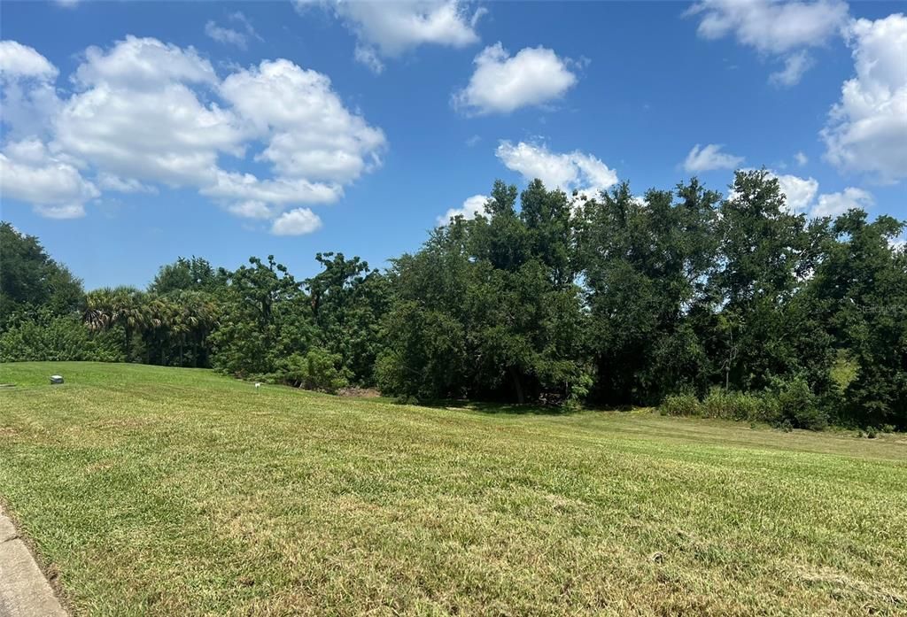 For Sale: $559,000 (2.62 acres)