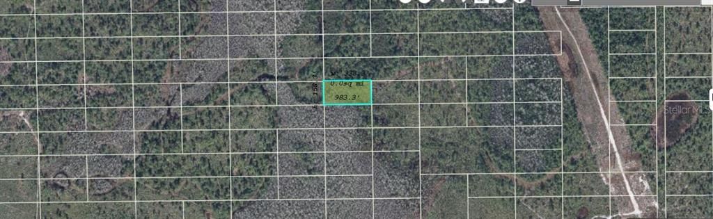 For Sale: $49,000 (1.26 acres)