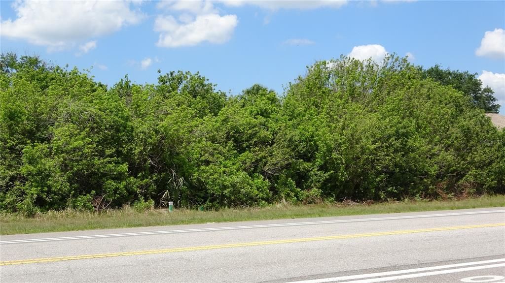 For Sale: $45,900 (0.23 acres)