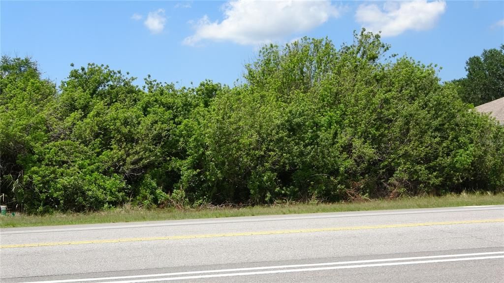 For Sale: $45,900 (0.23 acres)