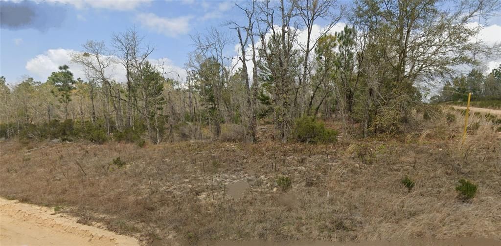 For Sale: $5,000 (0.11 acres)