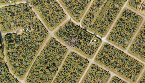 En Venta: $29,500 (0.22 acres)