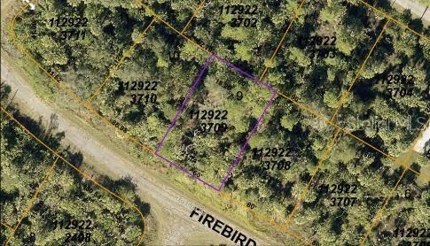 En Venta: $29,500 (0.22 acres)