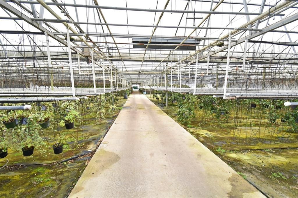 待售: $1,150,000 (0 贝兹, 0 浴室, 2310 平方英尺)