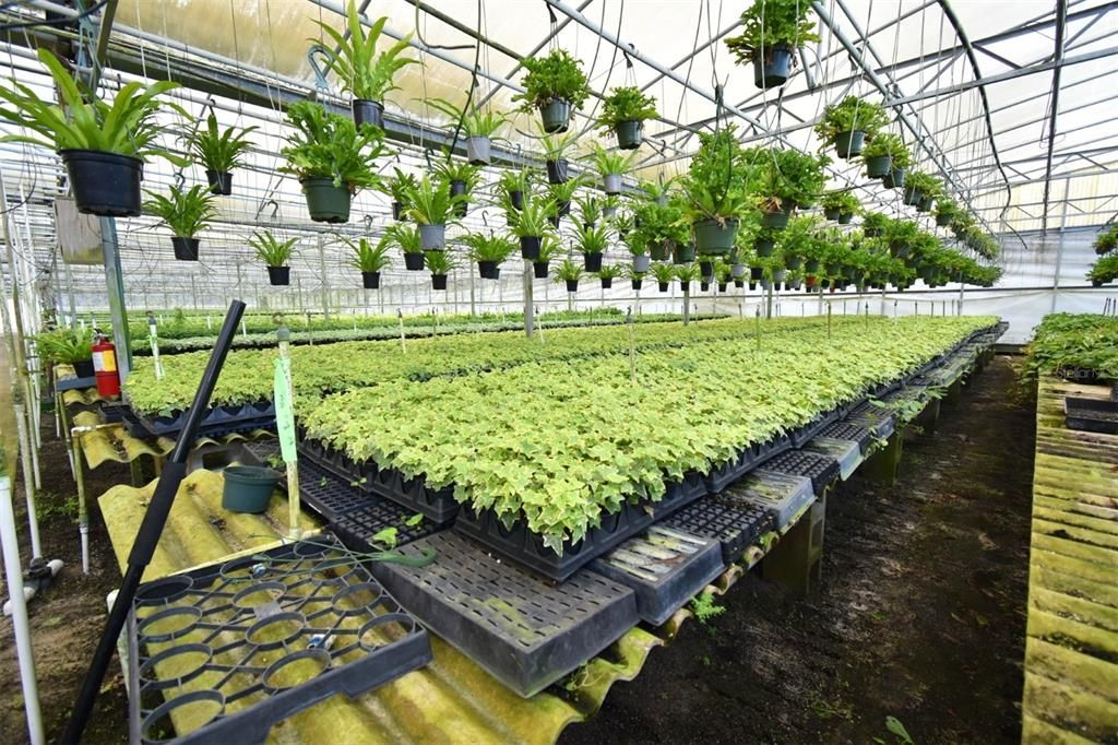 待售: $1,150,000 (0 贝兹, 0 浴室, 2310 平方英尺)