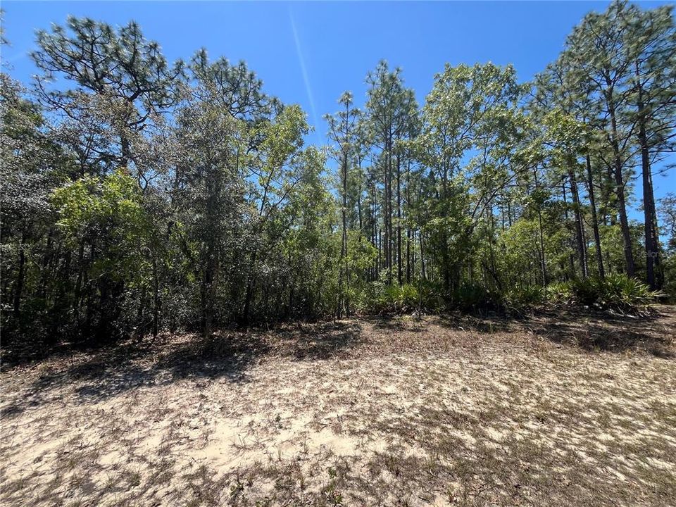 Vendido Recientemente: $87,500 (1.47 acres)