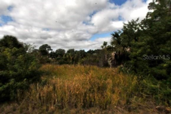 En Venta: $23,800 (0.23 acres)