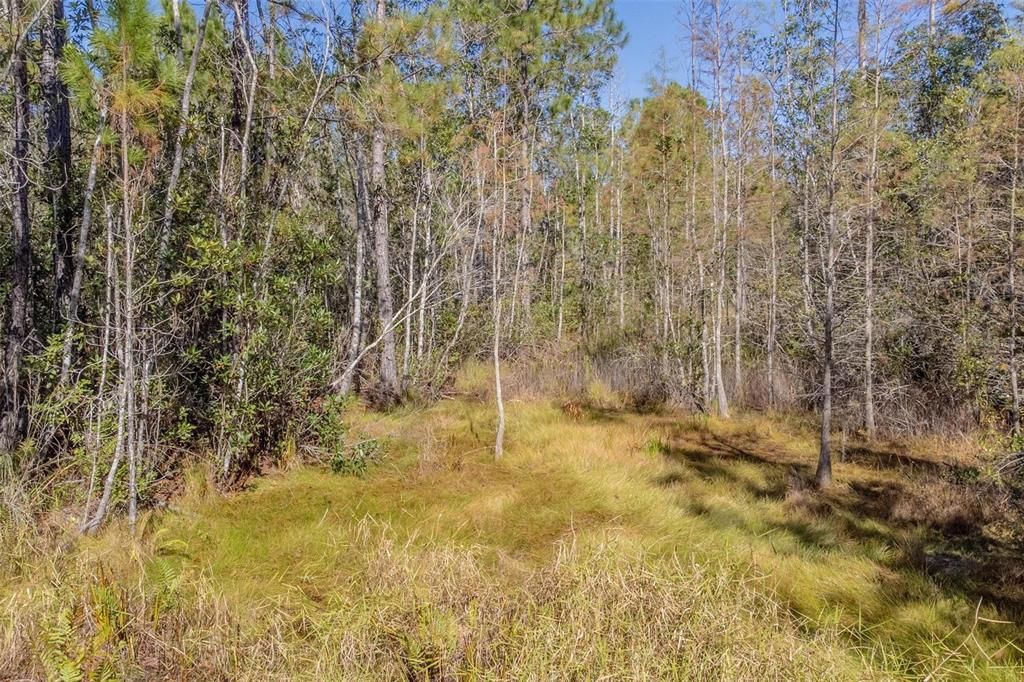 For Sale: $199,900 (14.09 acres)