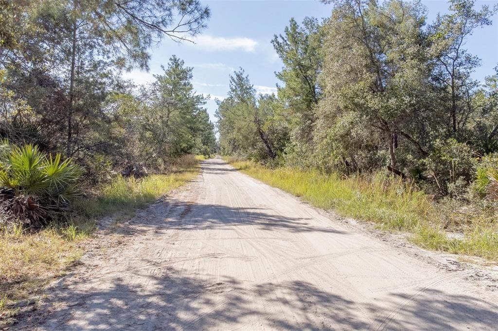 For Sale: $199,900 (14.09 acres)