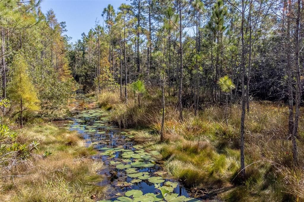 For Sale: $199,900 (14.09 acres)