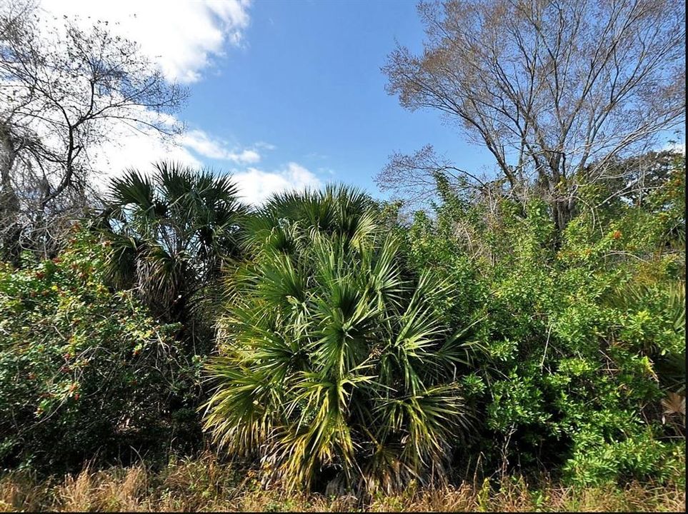 Недавно продано: $7,500 (0.26 acres)