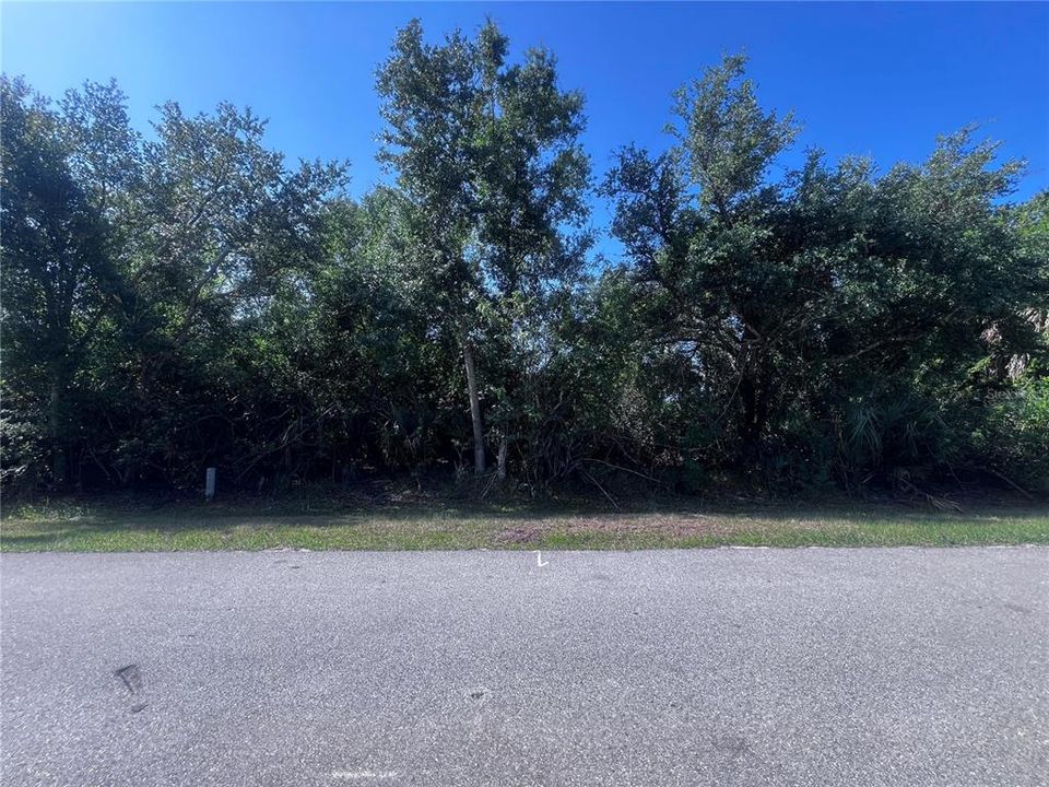 For Sale: $59,900 (0.34 acres)