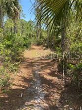 En Venta: $49,533 (1.40 acres)