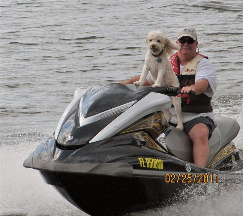 В аренду: $2,900 (2 спален, 2 ванн, 1248 Квадратных фут)