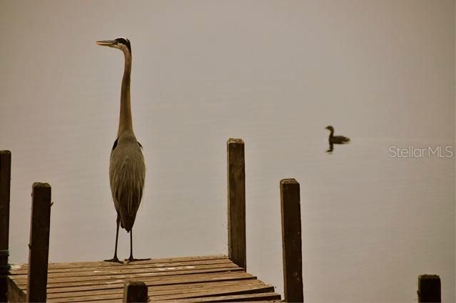 В аренду: $2,900 (2 спален, 2 ванн, 1248 Квадратных фут)