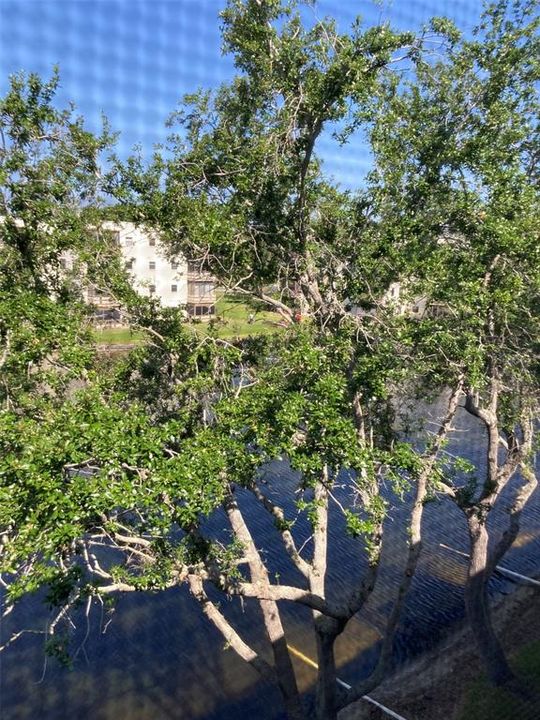 待售: $194,000 (2 贝兹, 2 浴室, 1100 平方英尺)