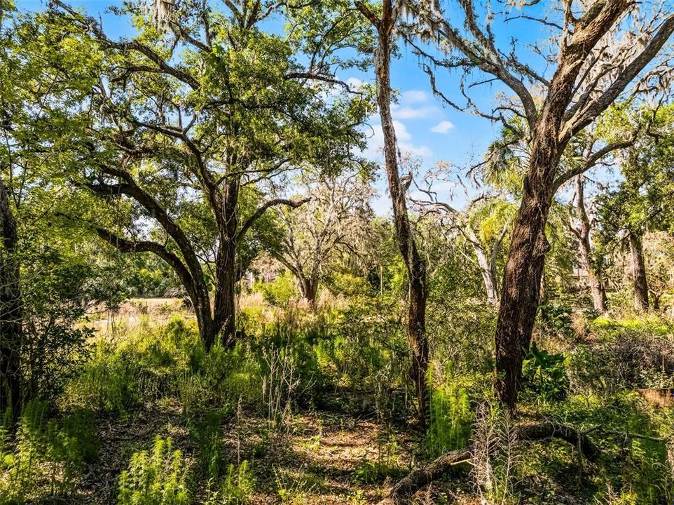 На продажу: $950,000 (5.06 acres)