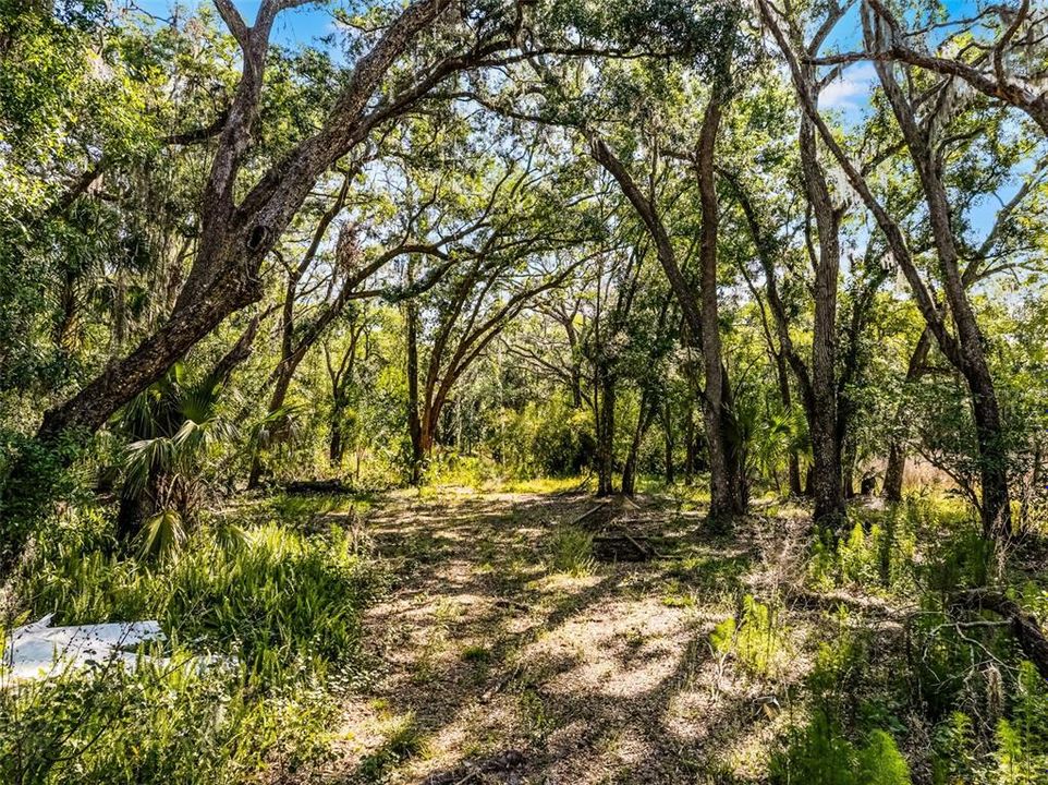 На продажу: $950,000 (5.06 acres)