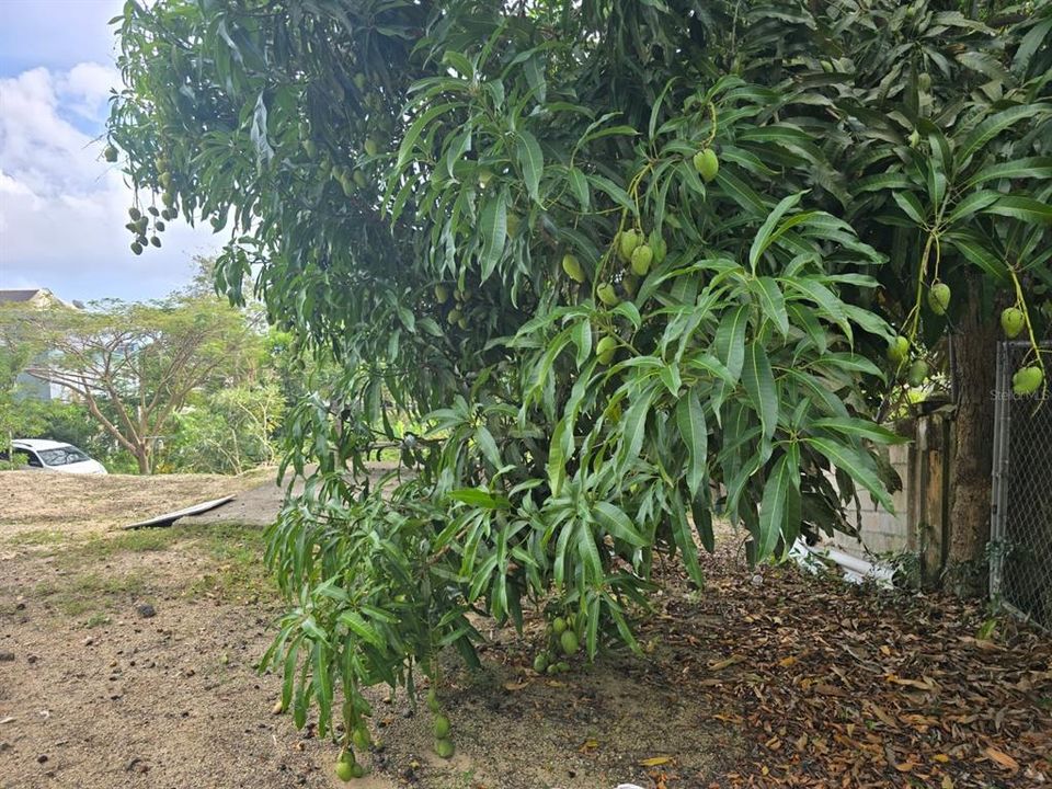 For Sale: $165,000 (3 beds, 3 baths, 2520 Square Feet)