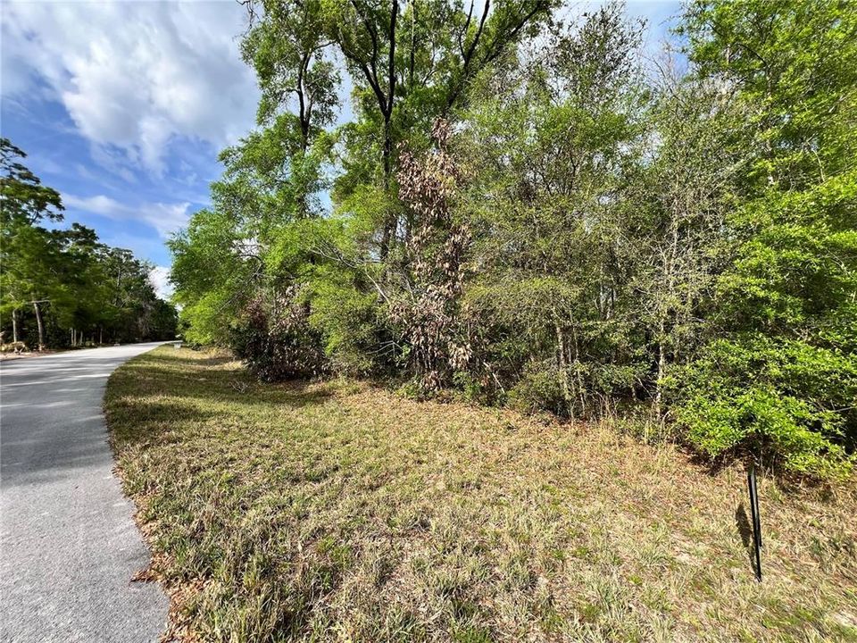 待售: $29,000 (1.00 acres)