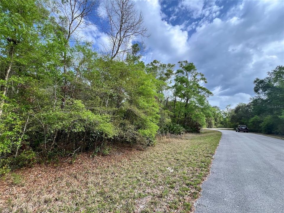 待售: $29,000 (1.00 acres)