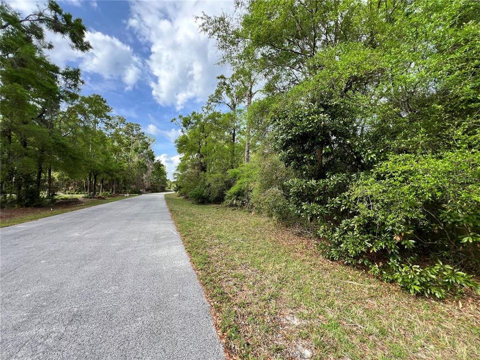 待售: $29,000 (1.00 acres)