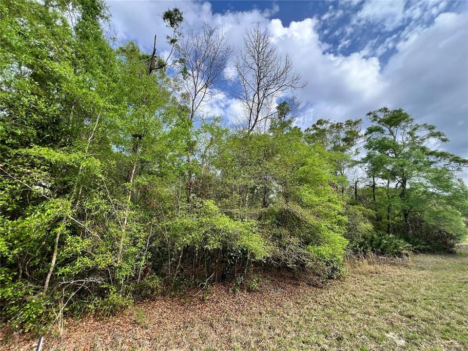 待售: $29,000 (1.00 acres)