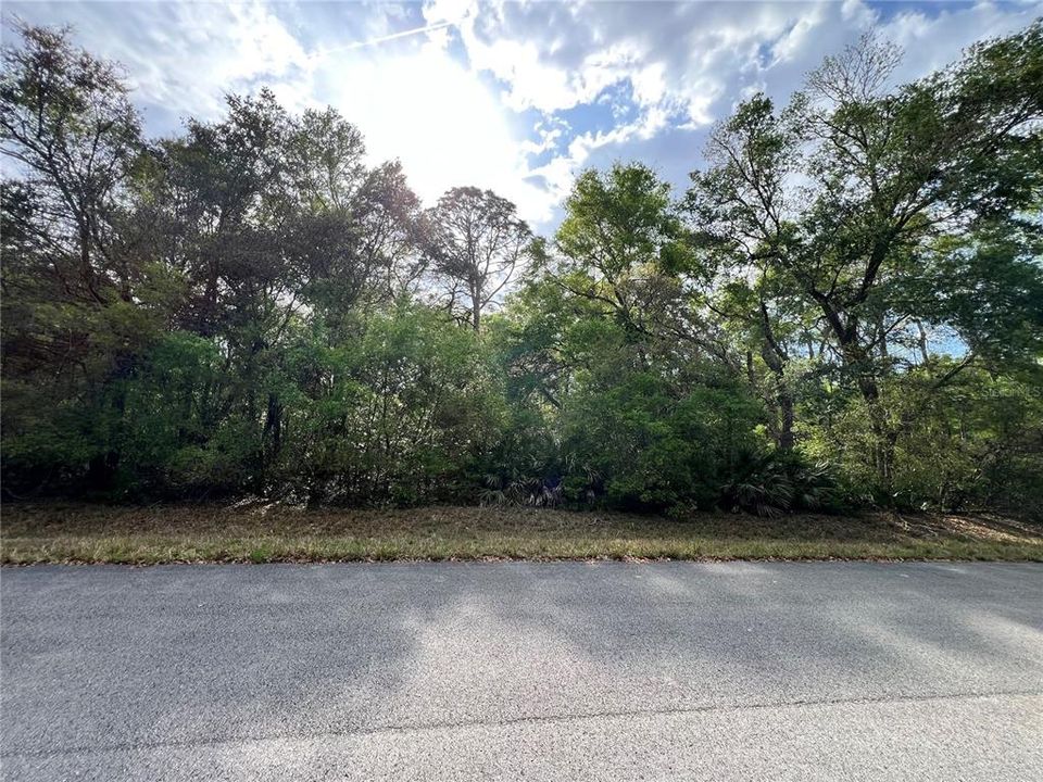 На продажу: $34,000 (1.00 acres)