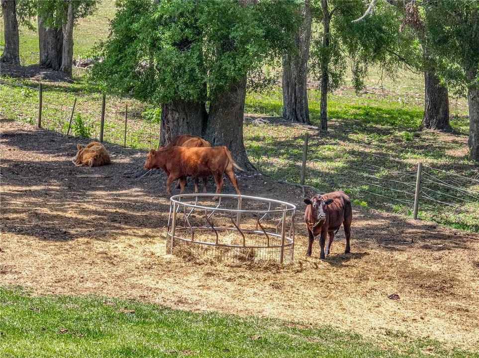 На продажу: $1,290,000 (3 спален, 2 ванн, 1750 Квадратных фут)