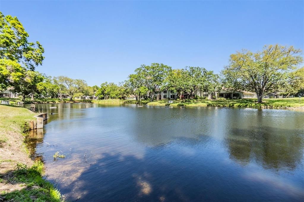 待售: $364,900 (3 贝兹, 2 浴室, 1685 平方英尺)