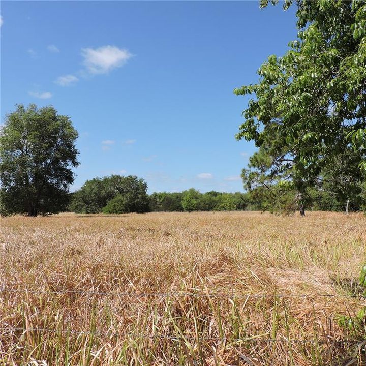 En Venta: $275,000 (10.00 acres)