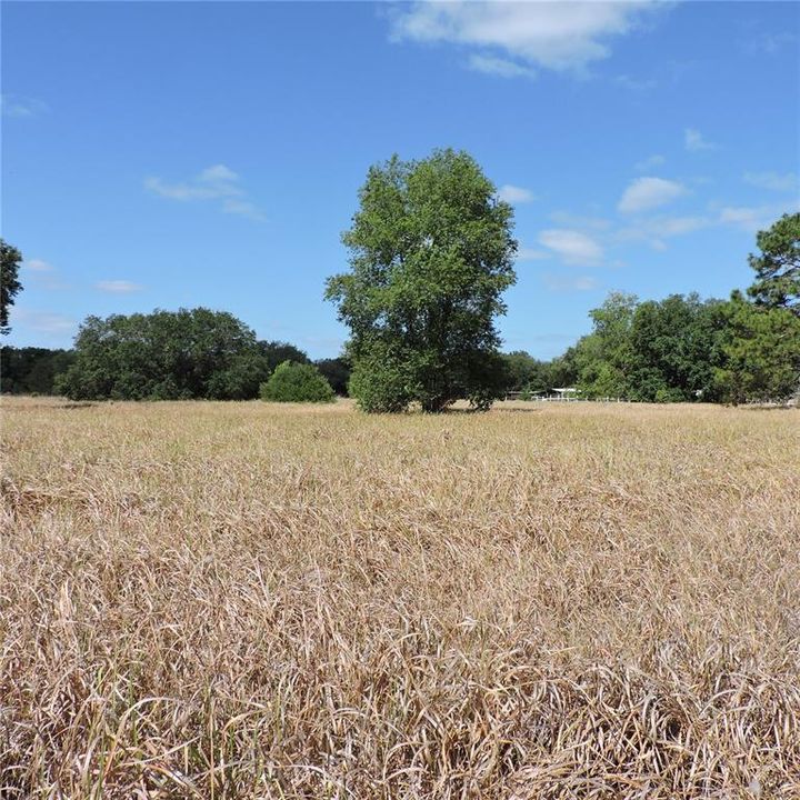 En Venta: $275,000 (10.00 acres)