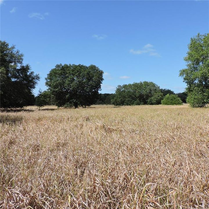 En Venta: $275,000 (10.00 acres)