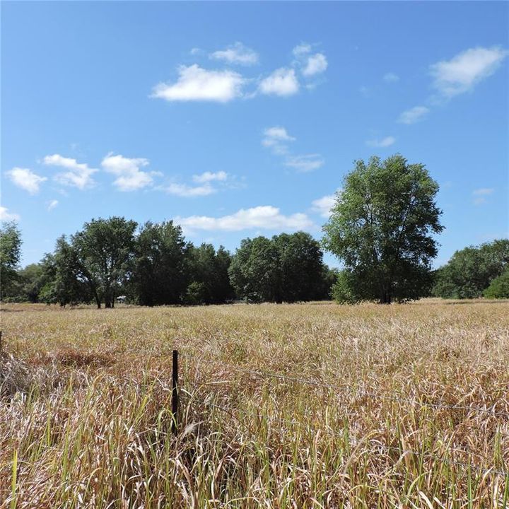 En Venta: $275,000 (10.00 acres)