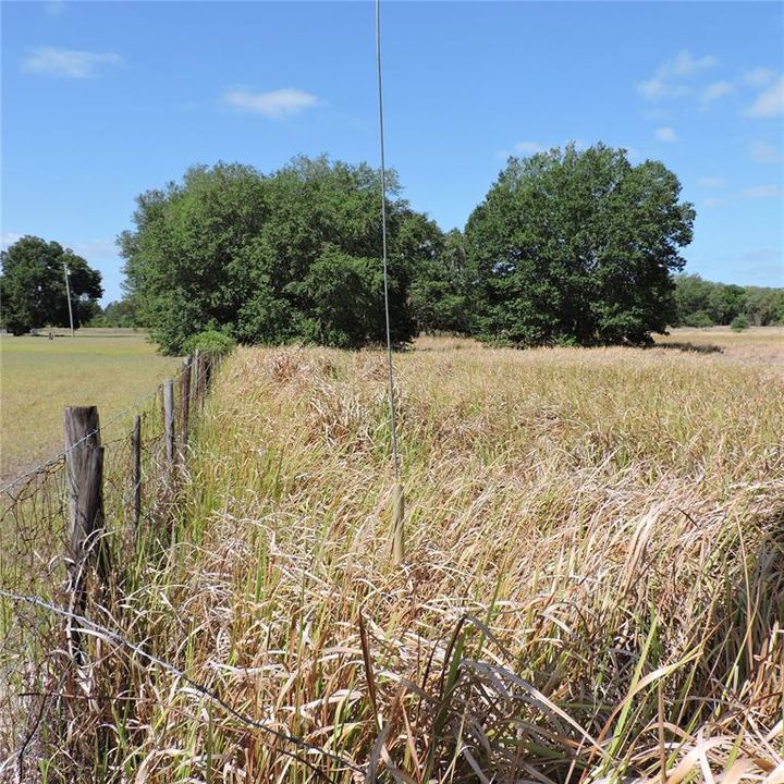 En Venta: $275,000 (10.00 acres)