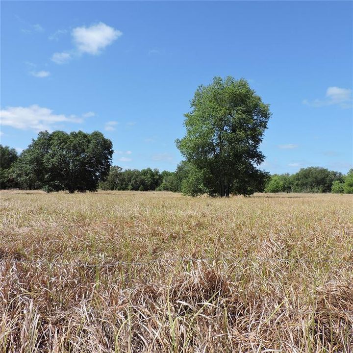 En Venta: $275,000 (10.00 acres)