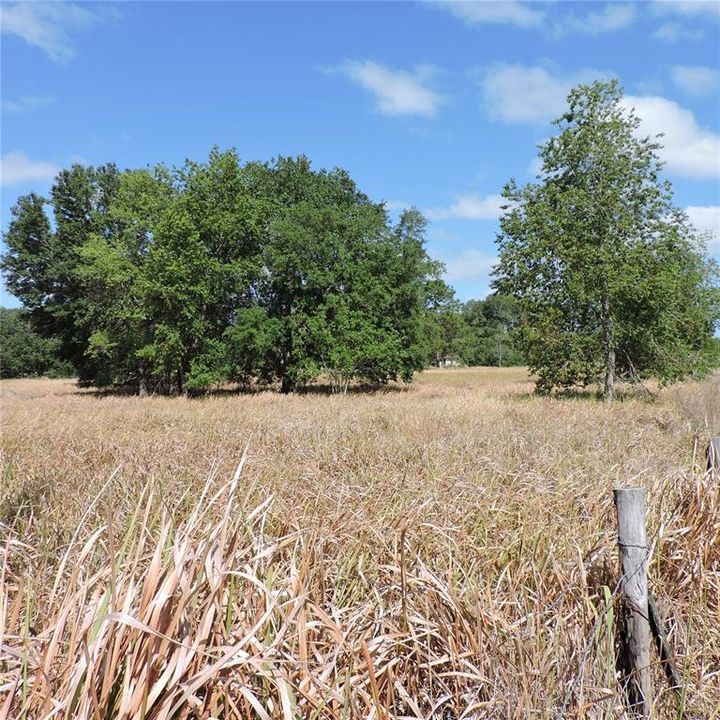 En Venta: $275,000 (10.00 acres)