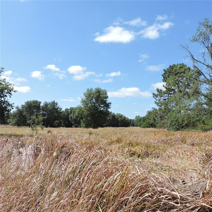 En Venta: $275,000 (10.00 acres)