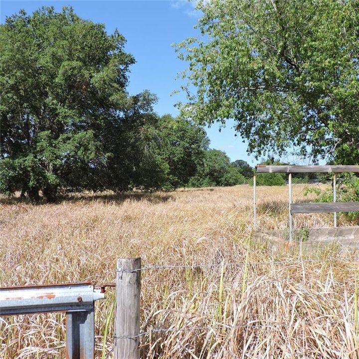 En Venta: $275,000 (10.00 acres)