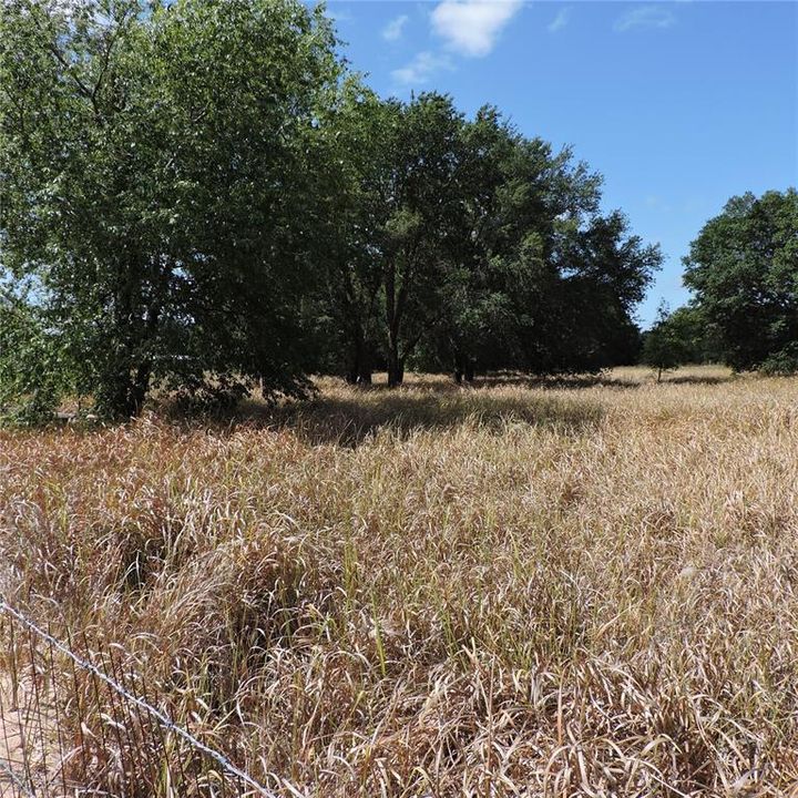 En Venta: $275,000 (10.00 acres)