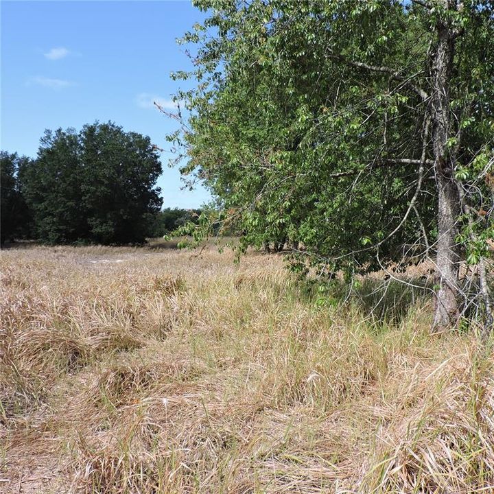 En Venta: $275,000 (10.00 acres)