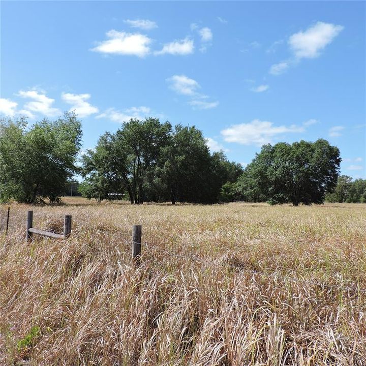 En Venta: $275,000 (10.00 acres)