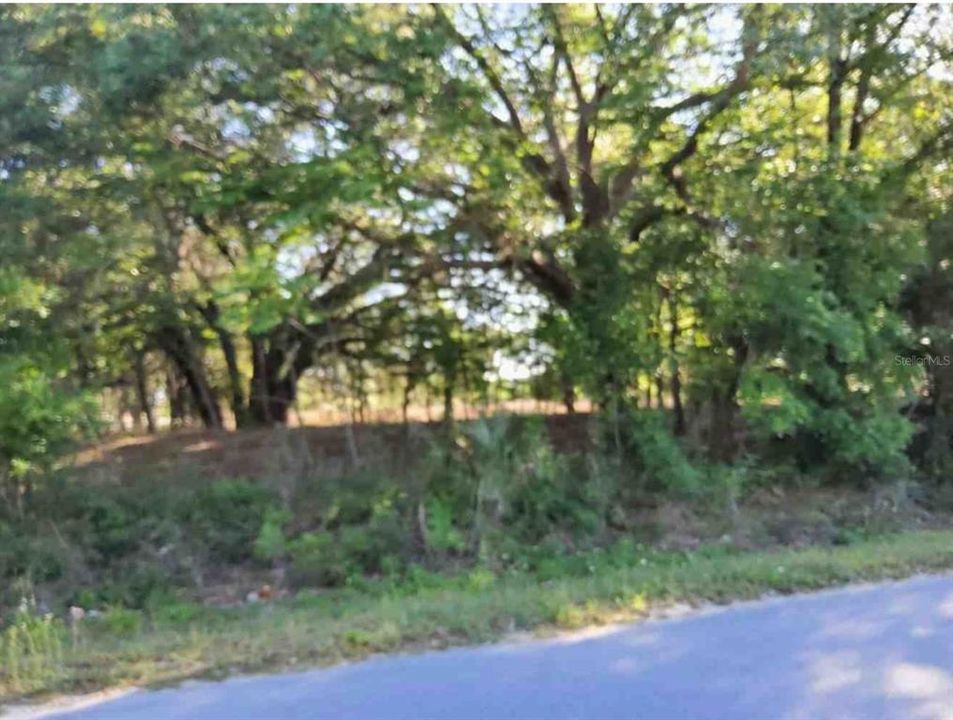 En Venta: $275,000 (10.00 acres)